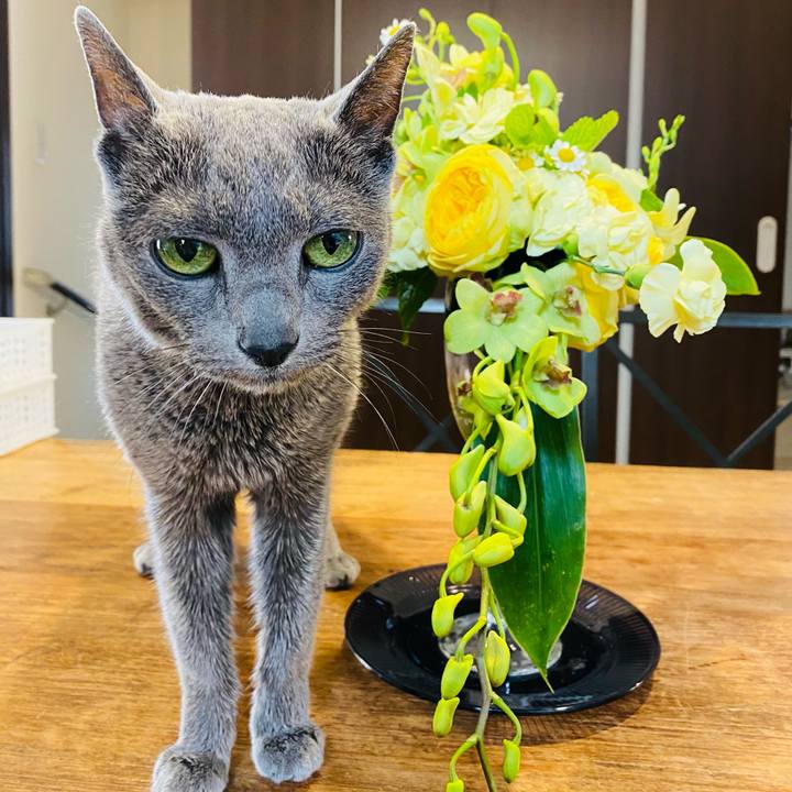 1d8851ae 818c 4780 8641 468dc724f967 1619860649048