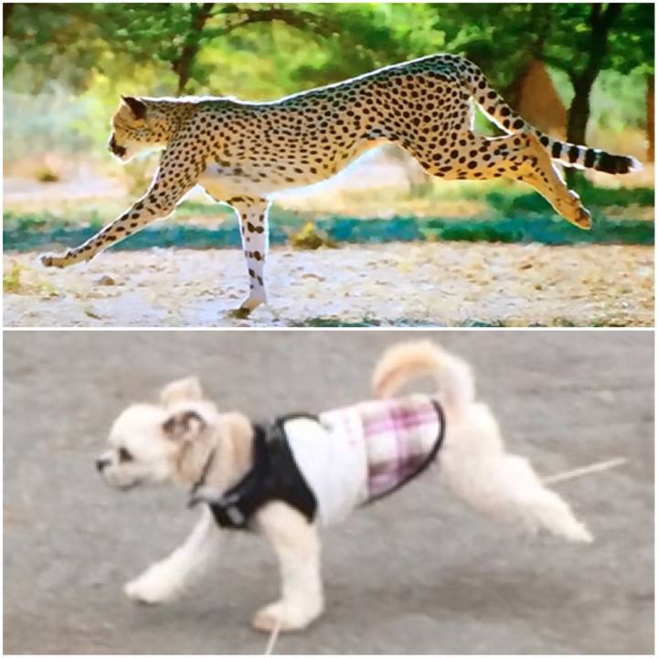 1d887c90 1ef0 44de 87ac a324ffce0d9d 1541846705042