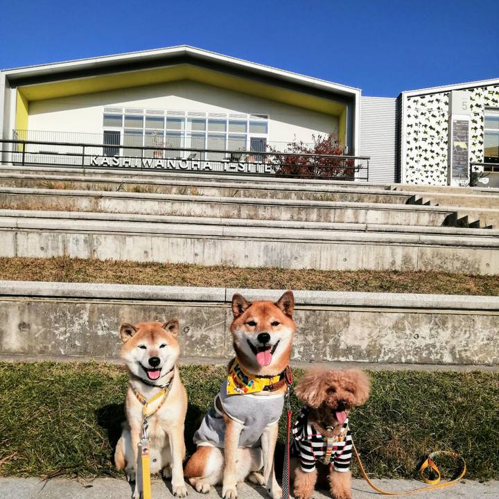 1d8887b2 b9d0 4016 b65b 94efefb18b9d 1605514904267