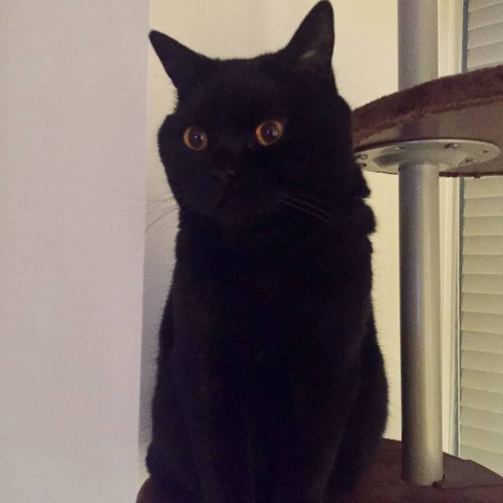 1d889f67 3d4e 4e4d 8edc c37ff677495d 1555243954366