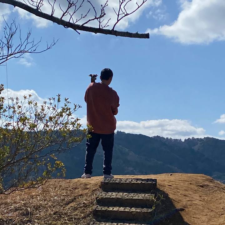 1d88a5dc dec0 406f a18f 727b4de0220c 1771798696482