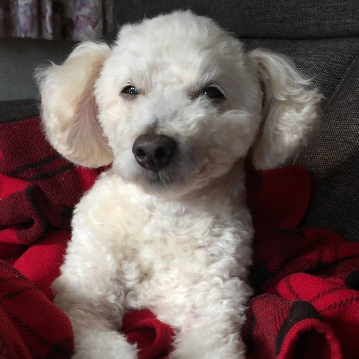 1d88d6ab efd4 491e 9113 a4b657fdb626 1519818970913