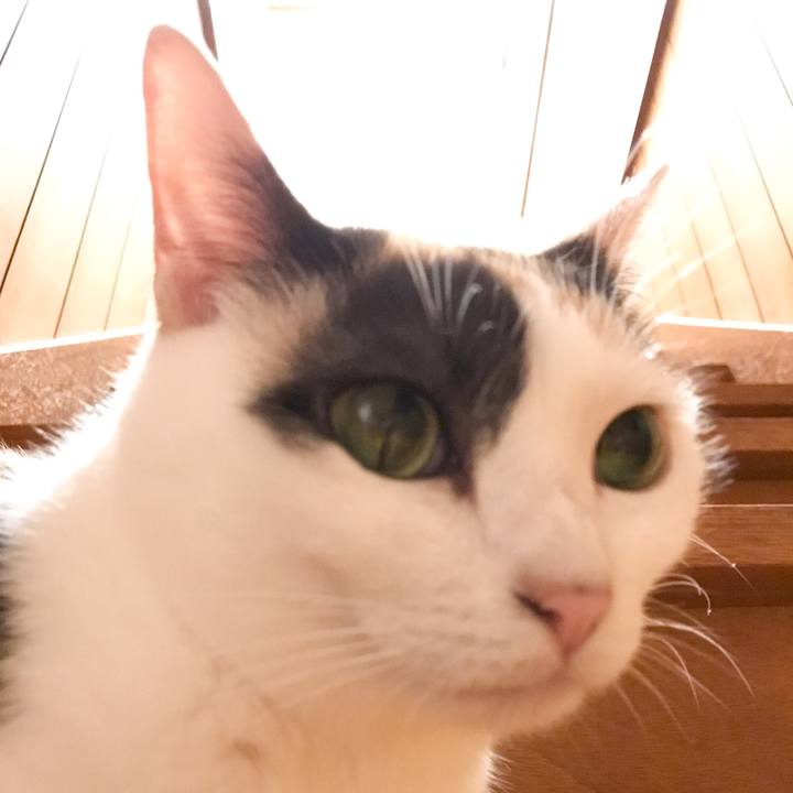 1d88de50 7f26 4f10 84dc 55e17a604842 1531531482033