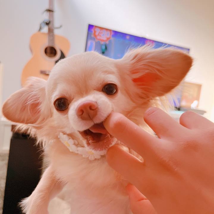 1d891499 c99e 4802 abe3 924076399477 1656556051616