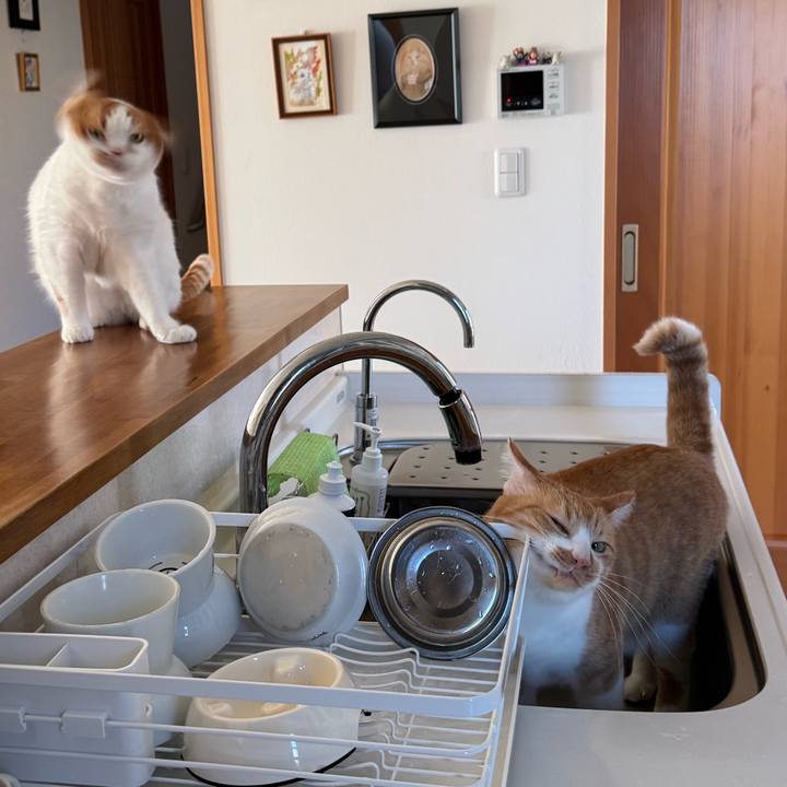 1d893326 c1e9 4b4c 910d 9604d05abf41 1765334669215