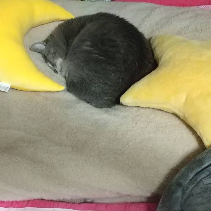 1d89380d aa08 4371 80d0 887cc7c5566f 1642581816376