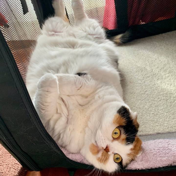 1d893e13 9115 4cd1 806c edf0b6744a97 1562629082389