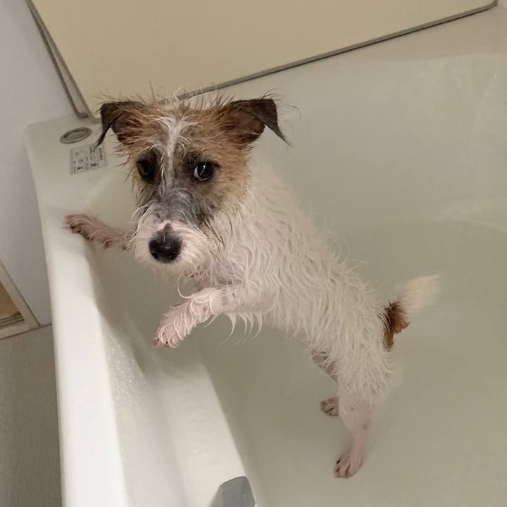 1d894ee0 ae5c 4ce4 8cfe 98c76716f8f0 1570338727794