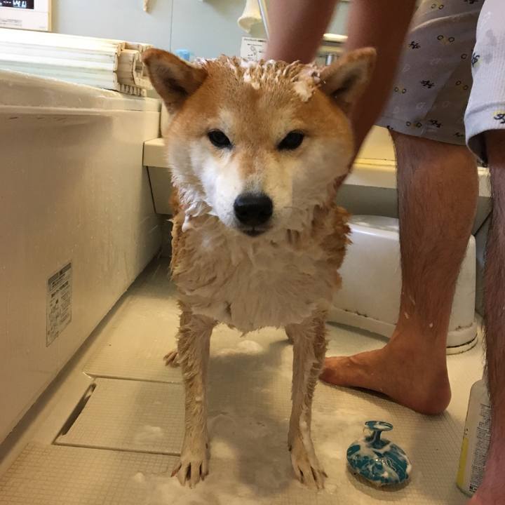 1d89b592 57c6 46c5 a556 dc923e85ad4b 1551936666644