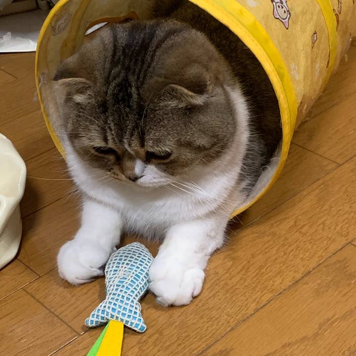 1d89c9c8 cc51 447f 83a4 08f1d7d2568e 1549174360382