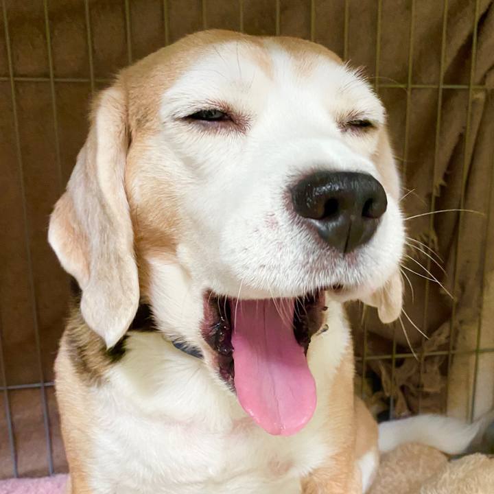 1d89cee8 bcdc 4873 a679 af307845dca7 1581564069105