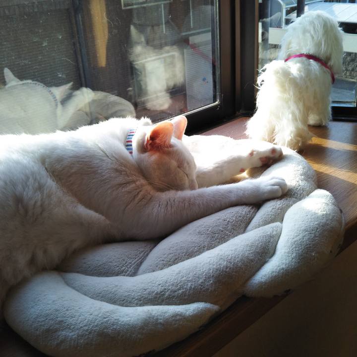 1d89de12 4998 4373 86bf 5462c2f773f9 1615190825350