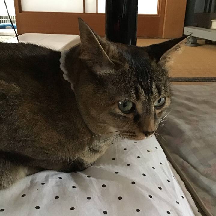 1d8a2574 3770 42ca 80a1 eea3cc29199c 1687957189472