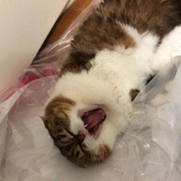 1d8a3c89 445d 480c 882d 4c866a4b54be 1538722834450