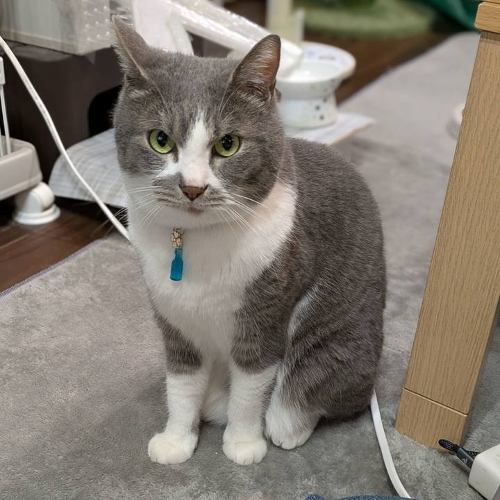 1d8a5622 0d1c 4cfd 96a2 90e3b19fee32 1745826124484