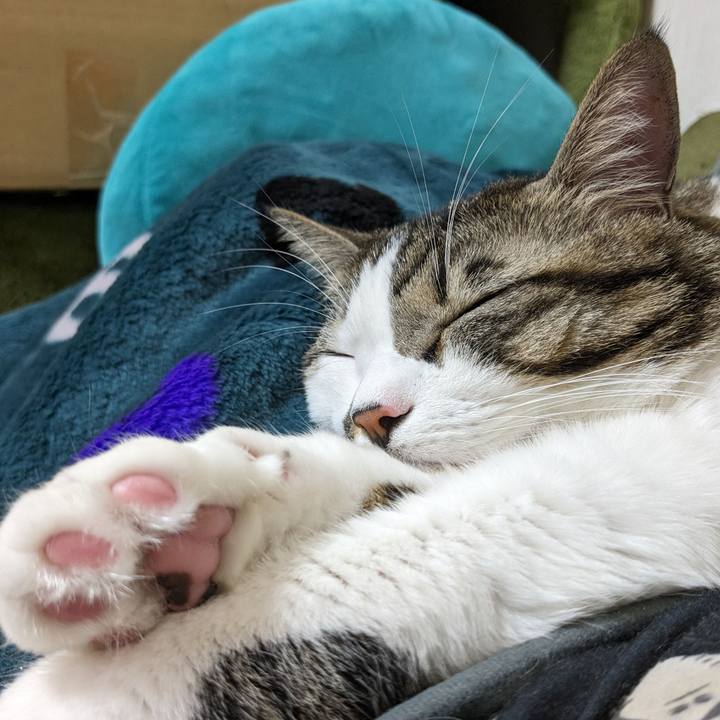 1d8a7d6b 0da9 4070 9014 2ae7f90c6a5f 1702882949962