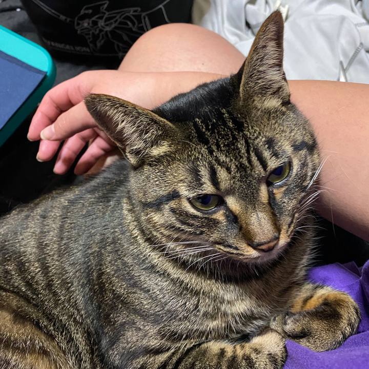 1d8a96f0 023a 4eed 8132 3b282cddd369 1617547584277