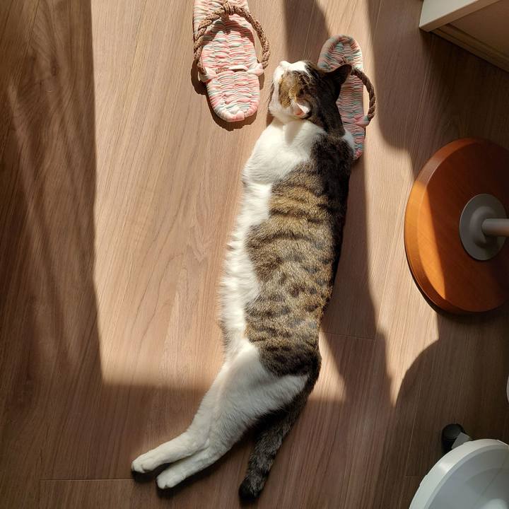 1d8aae18 2920 41e3 9a15 7cbe0a427164 1697677201103