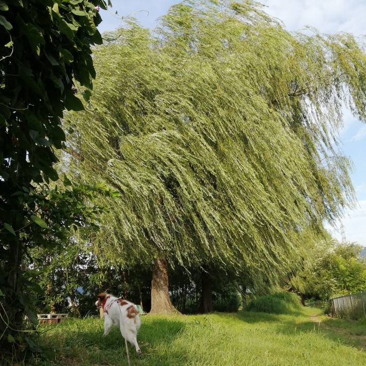 1d8abcb5 b267 4f4d a827 0c38464f29c5 1627447644276