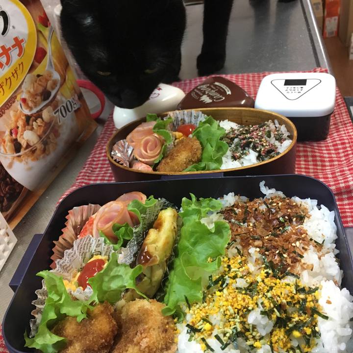 1d8aca35 521a 4e03 9481 36e9da525b95 1523935884862