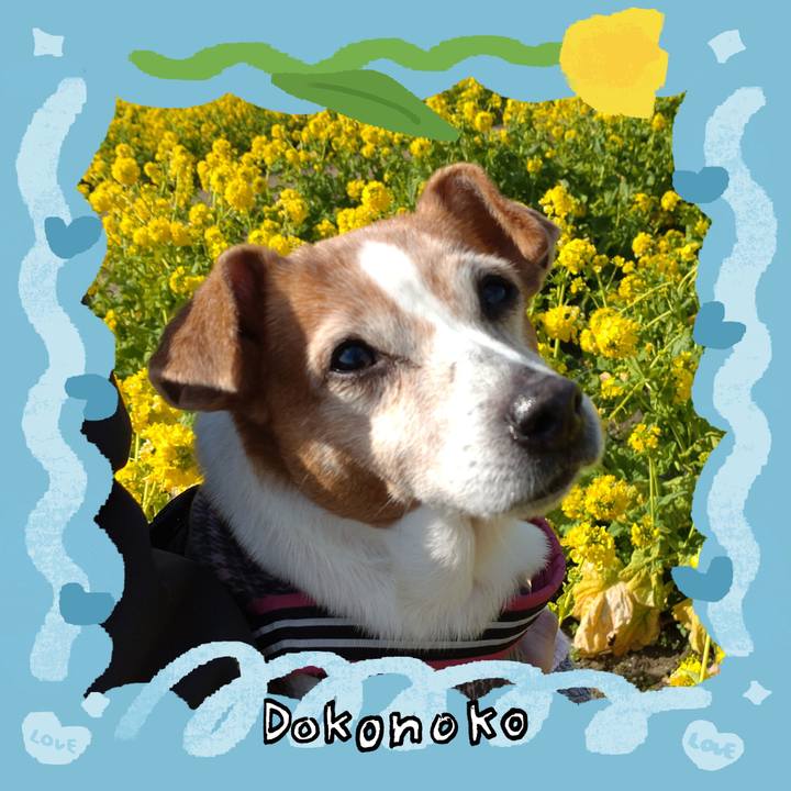 1d8aed07 2f7a 43a5 bc9a 8edce84ee517 1772056173473