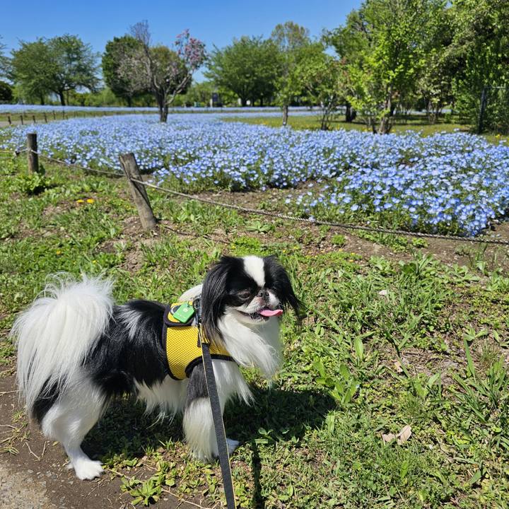 1d8b1e8b 30c9 460e ace5 4979bac727a5 1714027220822