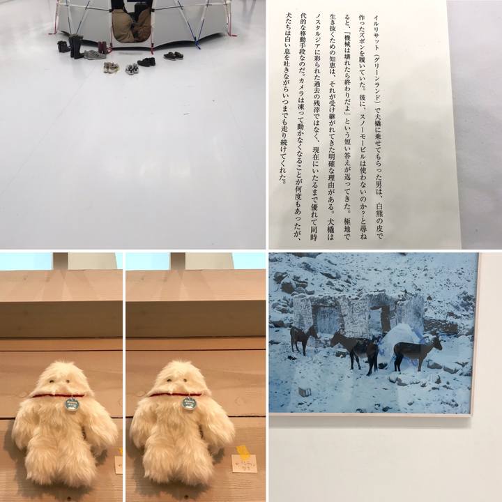 1d8b3a2c 6e65 44b2 83e9 397cb9348d62 1548048005539