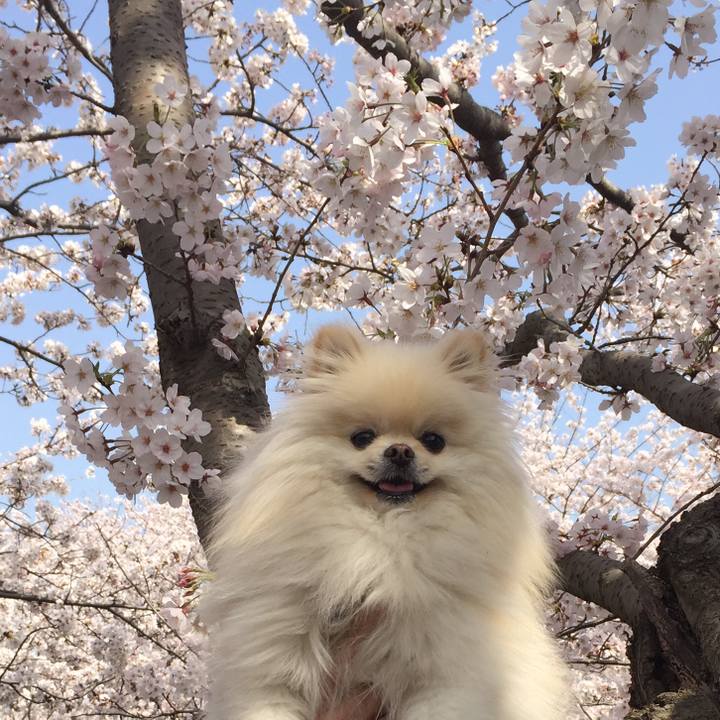 1d8b4983 772b 44bd 9c8b 0a1d40d08b74 1522300714874