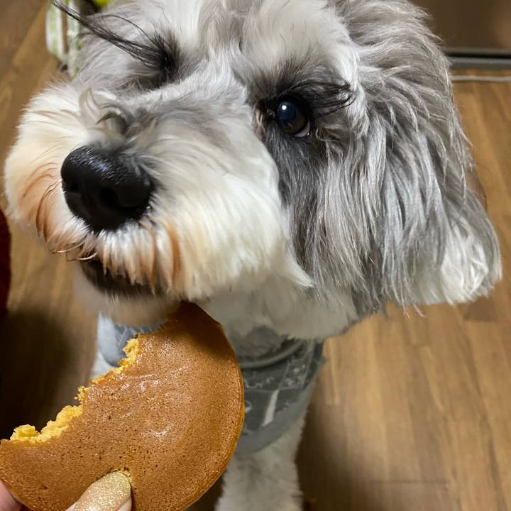 1d8b5a8a cb58 445e bfd2 dff292a1ba95 1609833792416