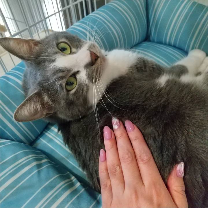 1d8b84e4 9feb 4b05 a329 942922e949cf 1646900381567