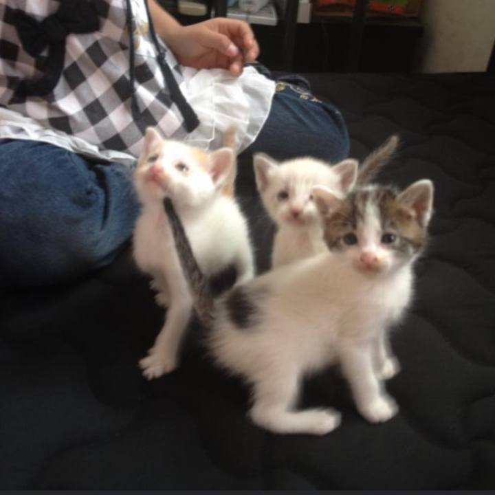 1d8b9d64 2a5f 4f6c a12b 50748fe16014 1643455464173