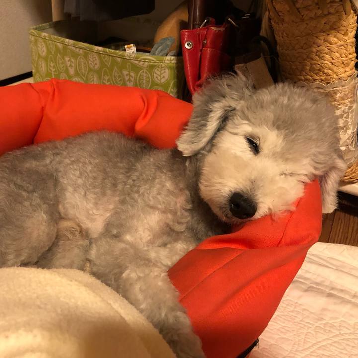 1d8bd1b1 ad2c 45b7 b165 9dadbed73317 1566649186958