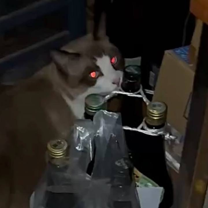 1d8be7c1 c067 4116 9d24 da4722160a76 1759053922223