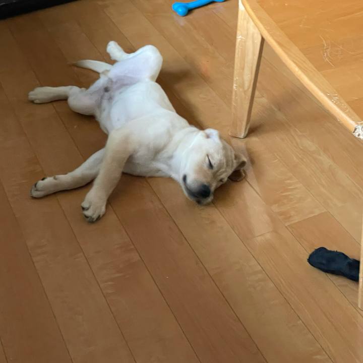 1d8c2d3f 78ad 497b b899 bceac42856a3 1632090552170