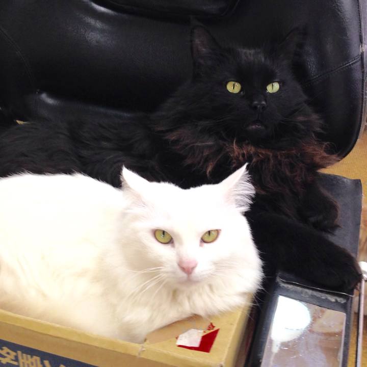 1d8c36cd a2b5 4375 87a5 028f416ad96a 1519863580597