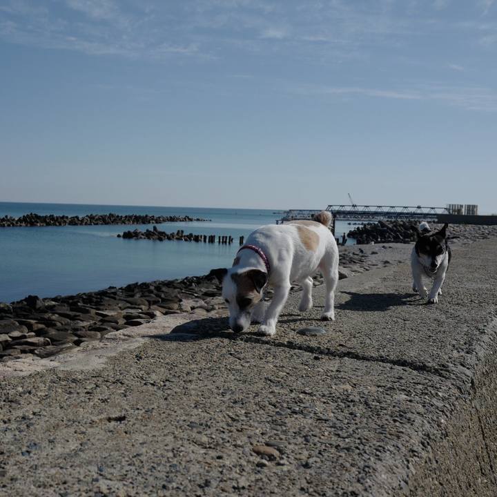 1d8c3731 a306 4239 b7ac d00cdde08edc 1559446225677