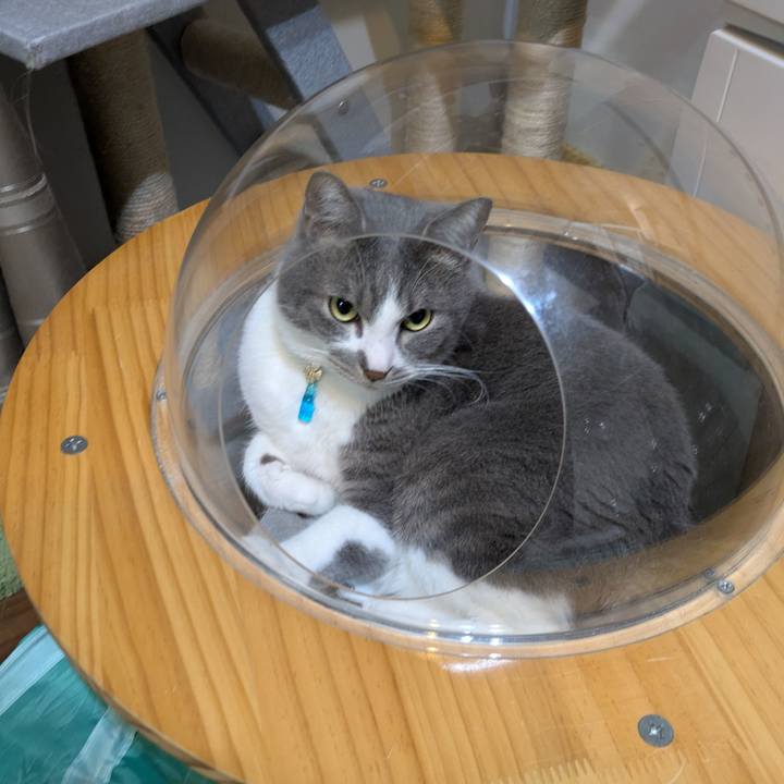 1d8c4245 a4aa 4059 843c 682f7d38b569 1742913036355