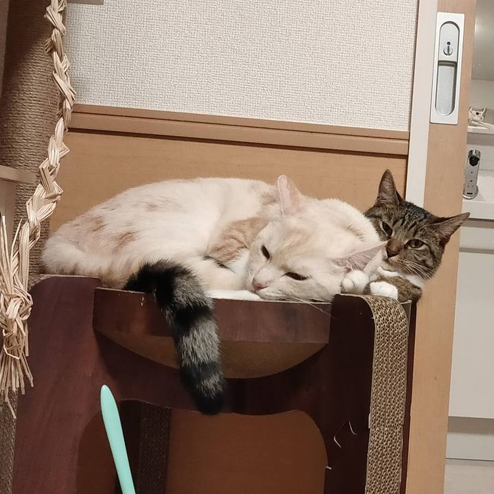 1d8c4318 dd82 4743 8d06 fbf0b6d61b51 1664280956715