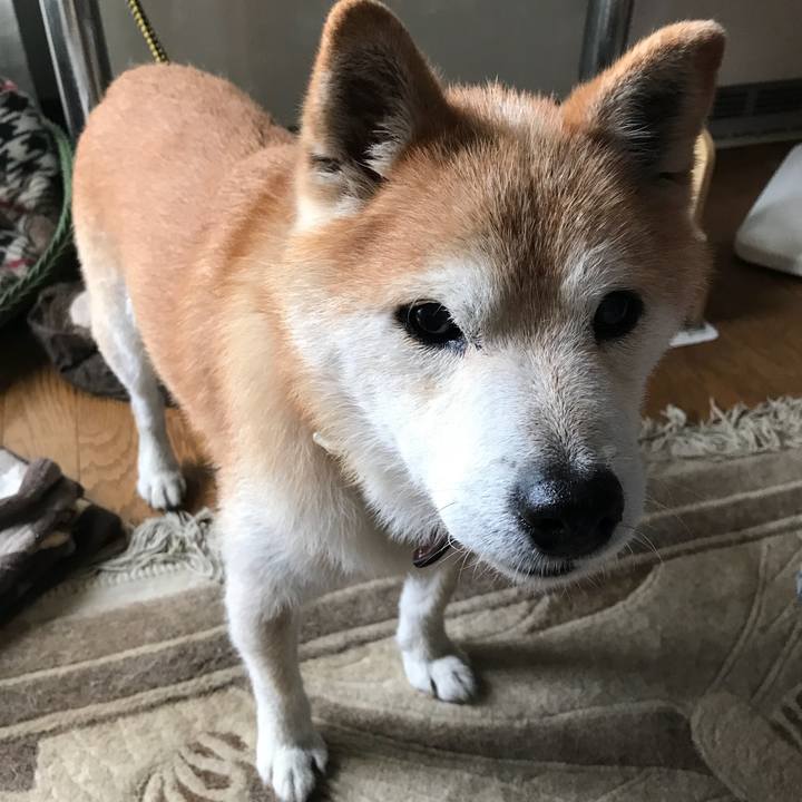 1d8cae37 ea2c 44e0 87bc e65c9148c3b7 1534134542080