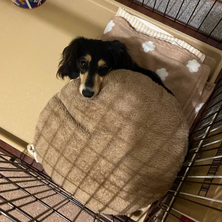 1d8cbe7c 955c 4c0e ab6f 0ea1f629fc45 1713599074742