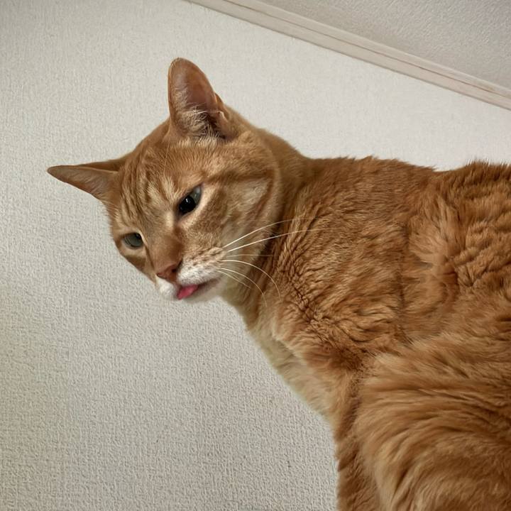 1d8d40a8 8c7b 442d aef2 9642d510cdff 1758615467869