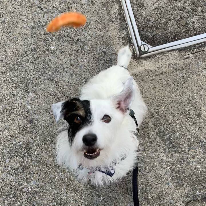 1d8d5c79 e12d 4379 95ac a87b541632d7 1663110895147