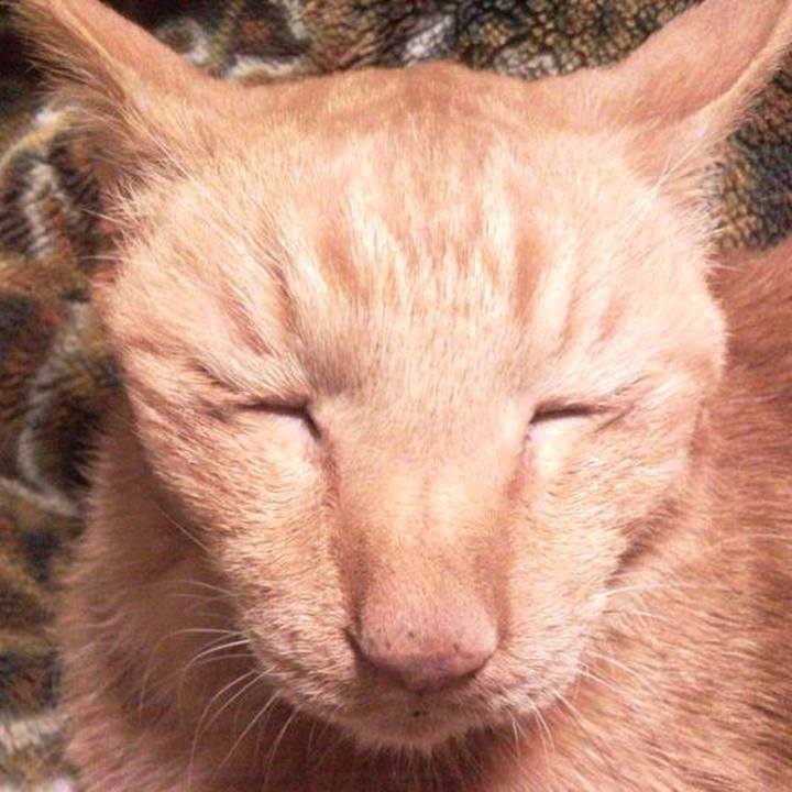 1d8d92c3 1c91 4799 94fc 3ce1165791bd 1678232744297