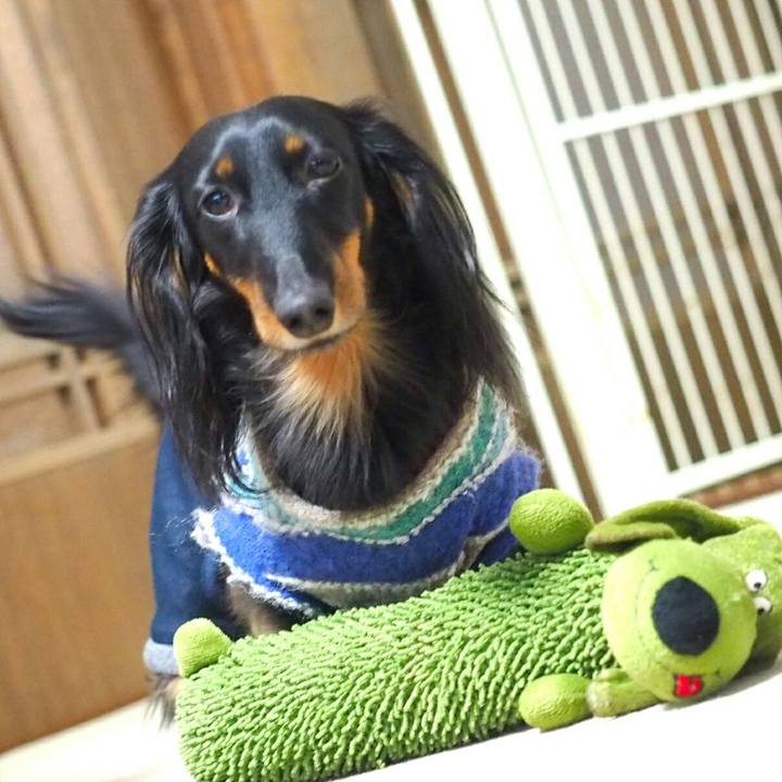 1d8d935a c36c 4306 9260 9d3c29a07ca9 1517189657310