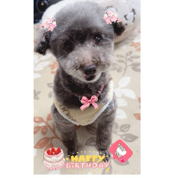 1d8db6c5 dcf3 46b9 82d8 8ca196229c2c 1711154991431