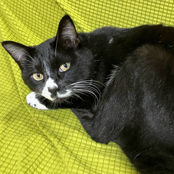 1d8dc8a6 0f0a 48d7 bffd 1af5a284e2e8 1737086437440