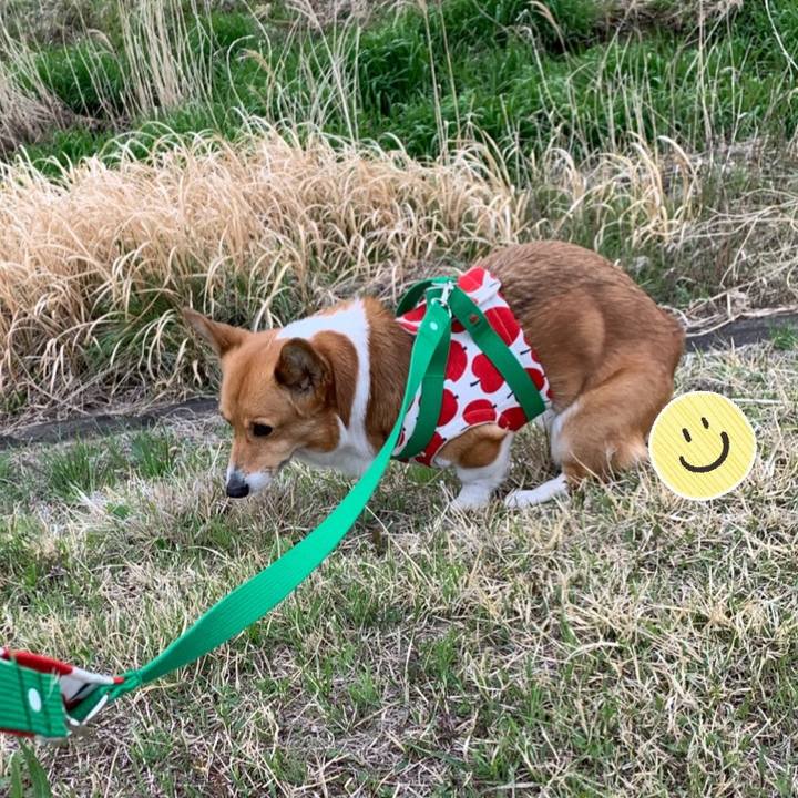 1d8dc977 7075 464f 8875 8cab5ada5161 1616905138099