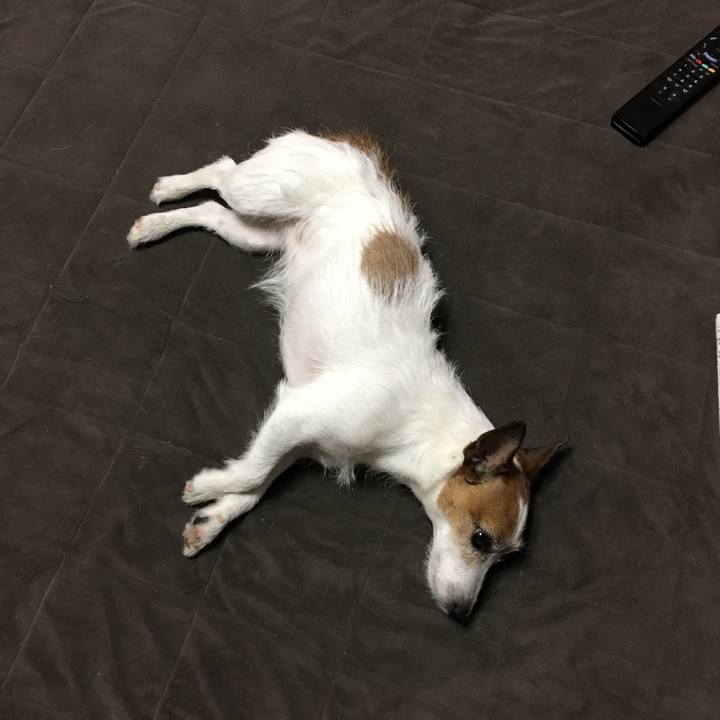 1d8dd072 c24c 43e8 9af1 bfba7a720298 1559622500652