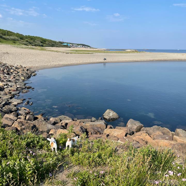 1d8dd80f 08ba 44c3 be9a 5ed05760363b 1686097287846