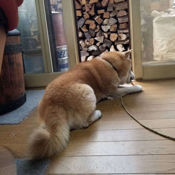 1d8e51f3 6dad 417e b71a 4204ac85b8e0 1697152105086